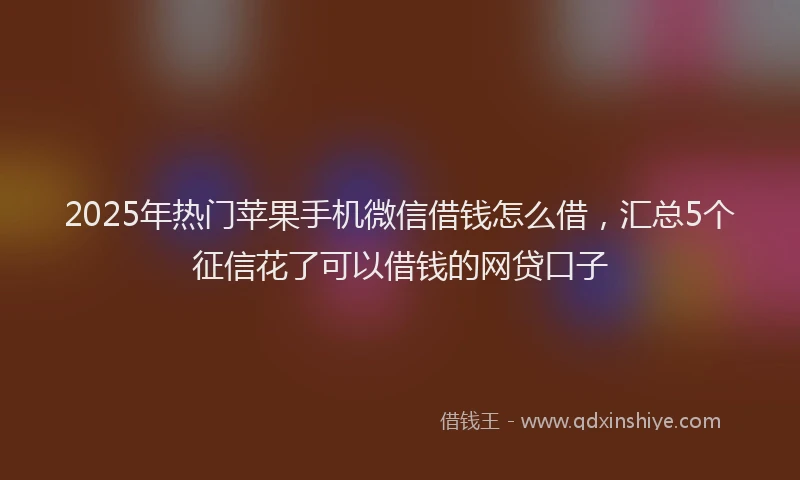 2025年热门苹果手机微信借钱怎么借，汇总5个征信花了可以借钱的网贷口子