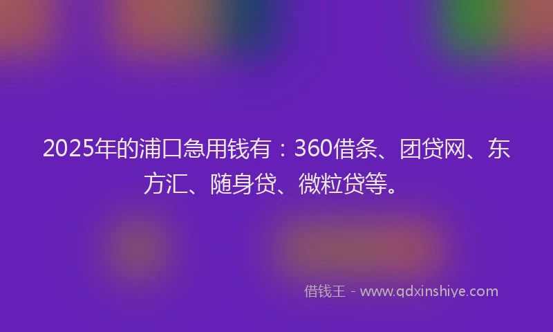 2025年的浦口急用钱有：360借条、团贷网、东方汇、随身贷、微粒贷等。
