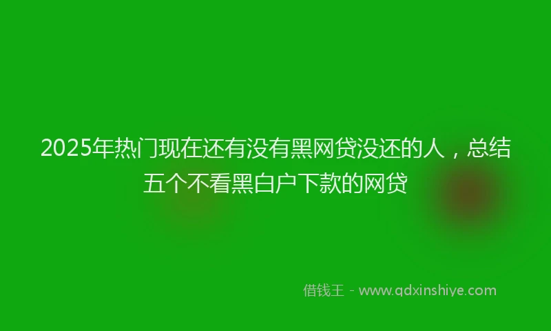 2025年热门现在还有没有黑网贷没还的人，总结五个不看黑白户下款的网贷