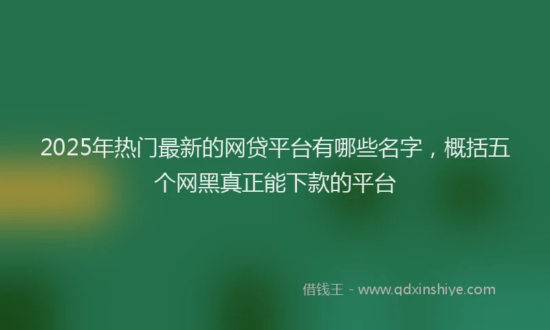 2025年热门最新的网贷平台有哪些名字，概括五个网黑真正能下款的平台