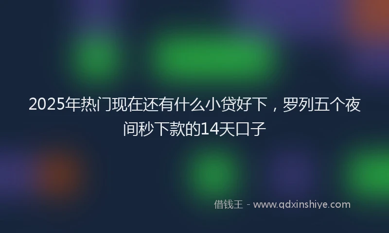 2025年热门现在还有什么小贷好下，罗列五个夜间秒下款的14天口子