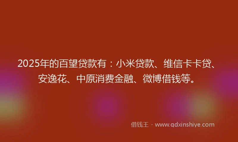 2025年的百望贷款有：小米贷款、维信卡卡贷、安逸花、中原消费金融、微博借钱等。