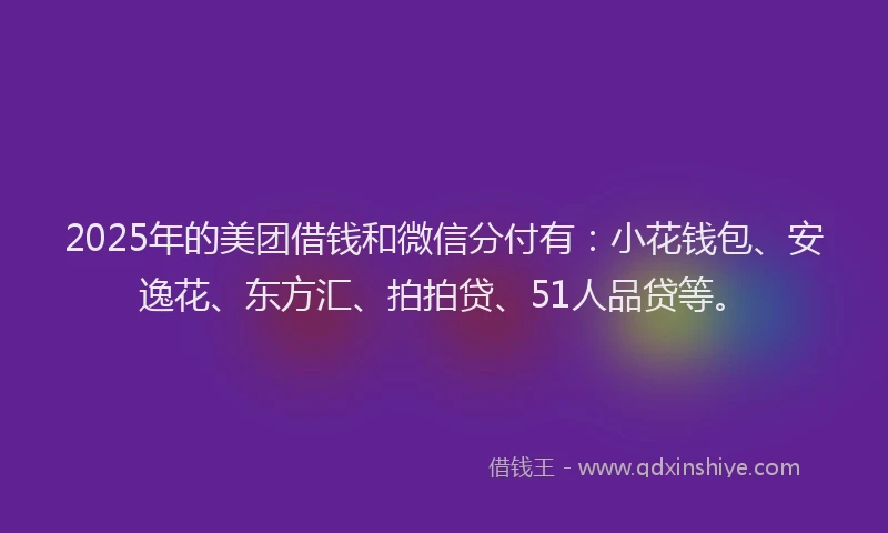 2025年的美团借钱和微信分付有：小花钱包、安逸花、东方汇、拍拍贷、51人品贷等。