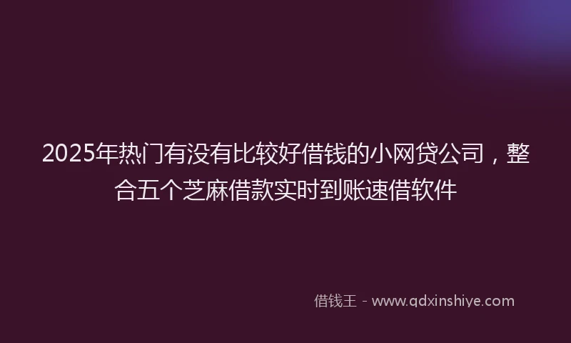 2025年热门有没有比较好借钱的小网贷公司，整合五个芝麻借款实时到账速借软件