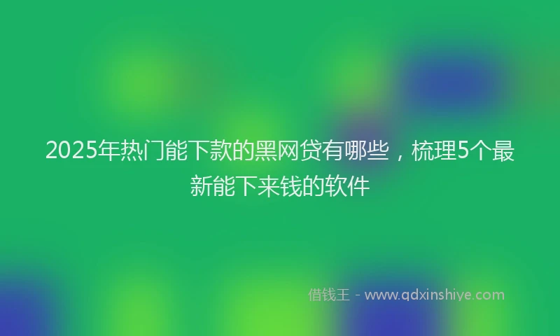2025年热门能下款的黑网贷有哪些，梳理5个最新能下来钱的软件