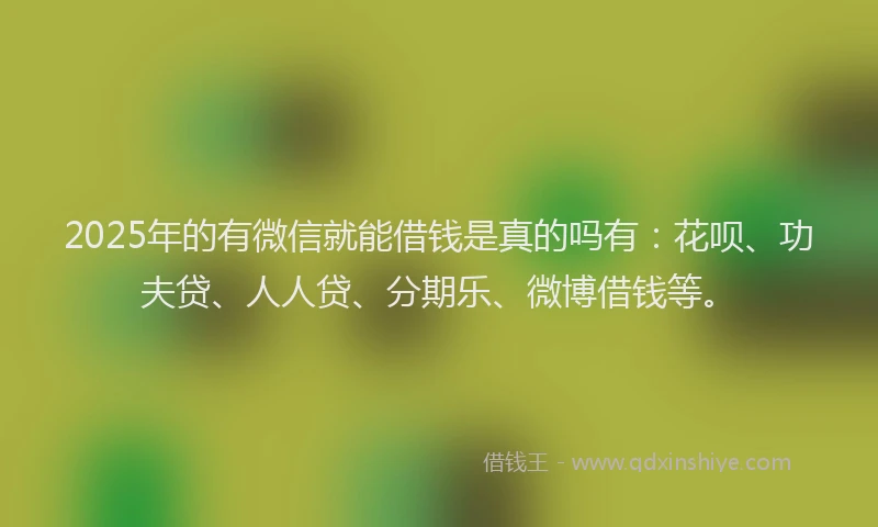 2025年的有微信就能借钱是真的吗有：花呗、功夫贷、人人贷、分期乐、微博借钱等。