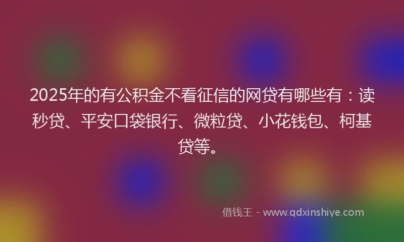 2025年的有公积金不看征信的网贷有哪些有：读秒贷、平安口袋银行、微粒贷、小花钱包、柯基贷等。