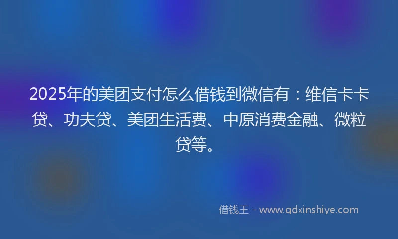 2025年的美团支付怎么借钱到微信有：维信卡卡贷、功夫贷、美团生活费、中原消费金融、微粒贷等。