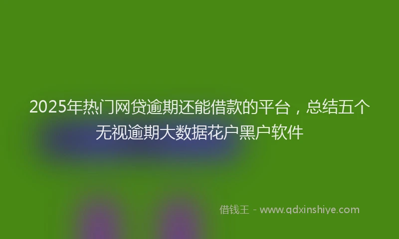2025年热门网贷逾期还能借款的平台，总结五个无视逾期大数据花户黑户软件