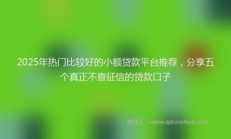 2025年热门比较好的小额贷款平台推荐，分享五个真正不查征信的贷款口子
