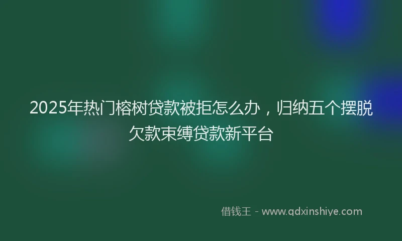 2025年热门榕树贷款被拒怎么办，归纳五个摆脱欠款束缚贷款新平台