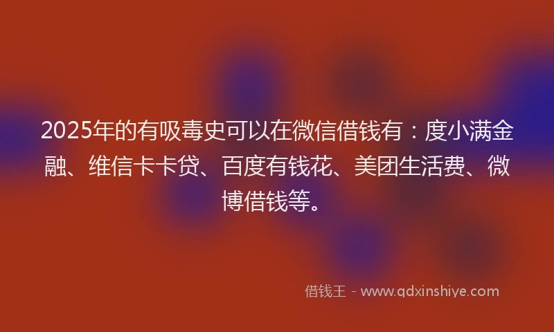 2025年的有吸毒史可以在微信借钱有：度小满金融、维信卡卡贷、百度有钱花、美团生活费、微博借钱等。