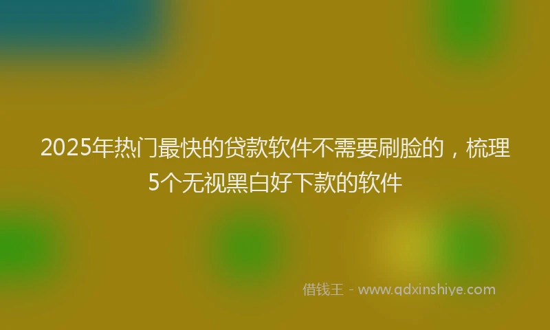 2025年热门最快的贷款软件不需要刷脸的，梳理5个无视黑白好下款的软件