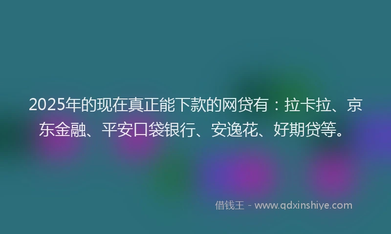 2025年的现在真正能下款的网贷有：拉卡拉、京东金融、平安口袋银行、安逸花、好期贷等。