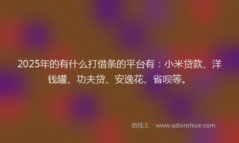 2025年的有什么打借条的平台有：小米贷款、洋钱罐、功夫贷、安逸花、省呗等。