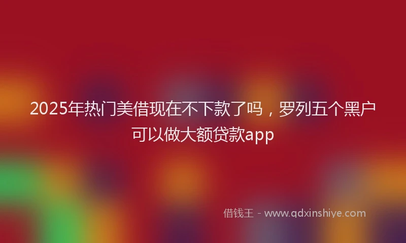 2025年热门美借现在不下款了吗，罗列五个黑户可以做大额贷款app