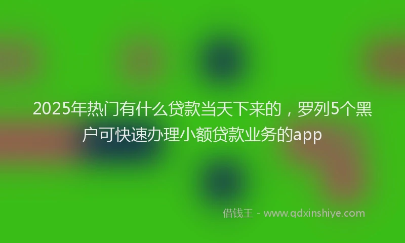 2025年热门有什么贷款当天下来的，罗列5个黑户可快速办理小额贷款业务的app