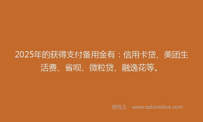 2025年的获得支付备用金有：信用卡贷、美团生活费、省呗、微粒贷、融逸花等。