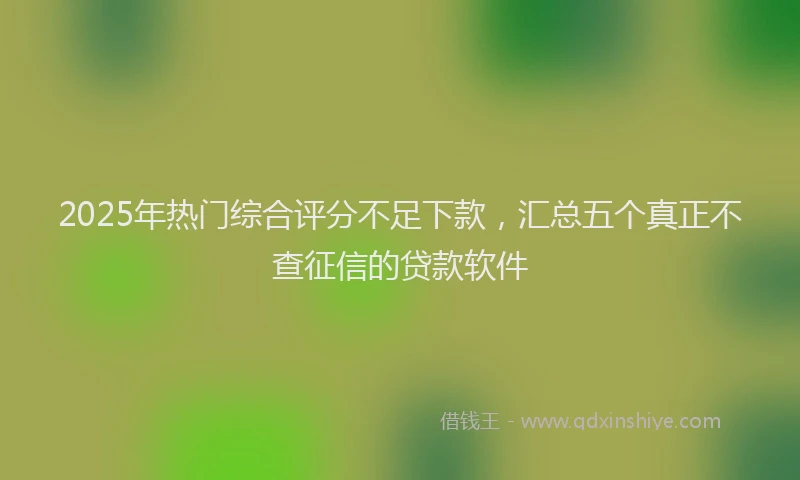 2025年热门综合评分不足下款，汇总五个真正不查征信的贷款软件