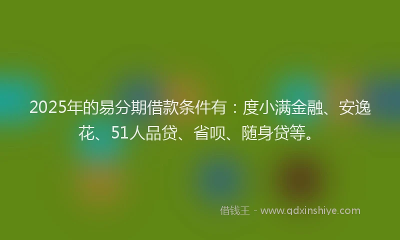 2025年的易分期借款条件有：度小满金融、安逸花、51人品贷、省呗、随身贷等。
