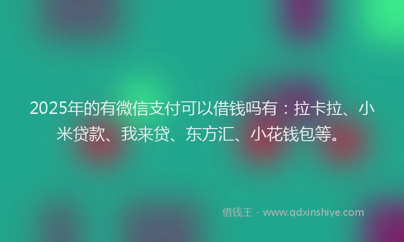2025年的有微信支付可以借钱吗有：拉卡拉、小米贷款、我来贷、东方汇、小花钱包等。
