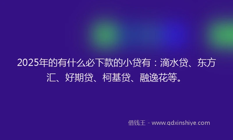 2025年的有什么必下款的小贷有：滴水贷、东方汇、好期贷、柯基贷、融逸花等。