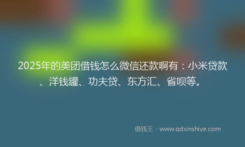 2025年的美团借钱怎么微信还款啊有：小米贷款、洋钱罐、功夫贷、东方汇、省呗等。