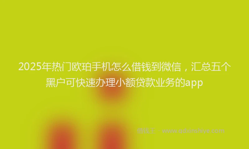 2025年热门欧珀手机怎么借钱到微信，汇总五个黑户可快速办理小额贷款业务的app