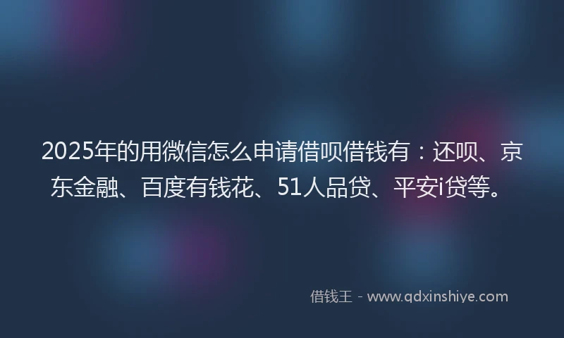 2025年的用微信怎么申请借呗借钱有：还呗、京东金融、百度有钱花、51人品贷、平安i贷等。