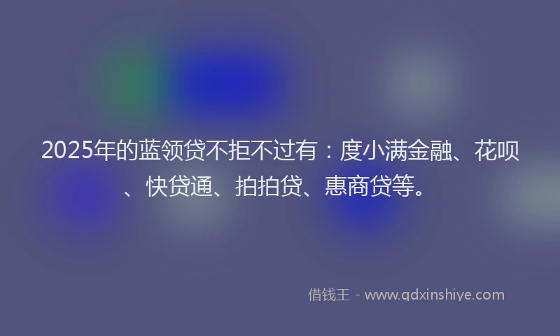 2025年的蓝领贷不拒不过有：度小满金融、花呗、快贷通、拍拍贷、惠商贷等。