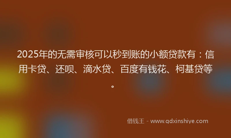 2025年的无需审核可以秒到账的小额贷款有：信用卡贷、还呗、滴水贷、百度有钱花、柯基贷等。