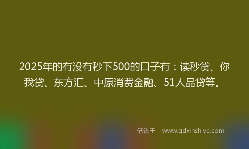 2025年的有没有秒下500的口子有：读秒贷、你我贷、东方汇、中原消费金融、51人品贷等。