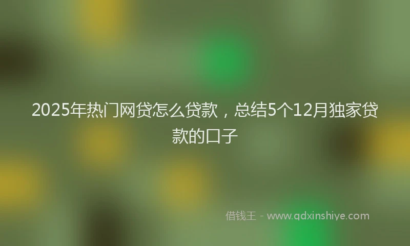 2025年热门网贷怎么贷款，总结5个12月独家贷款的口子