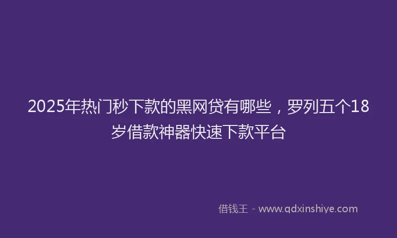 2025年热门秒下款的黑网贷有哪些，罗列五个18岁借款神器快速下款平台