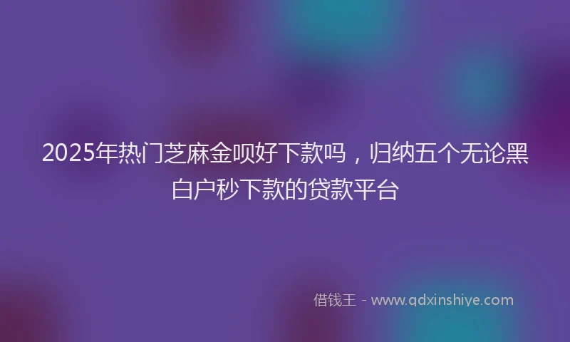 2025年热门芝麻金呗好下款吗，归纳五个无论黑白户秒下款的贷款平台