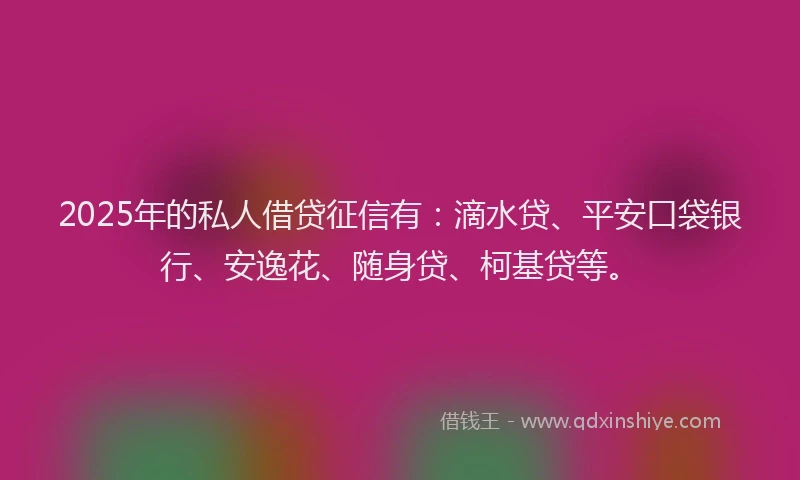 2025年的私人借贷征信有：滴水贷、平安口袋银行、安逸花、随身贷、柯基贷等。