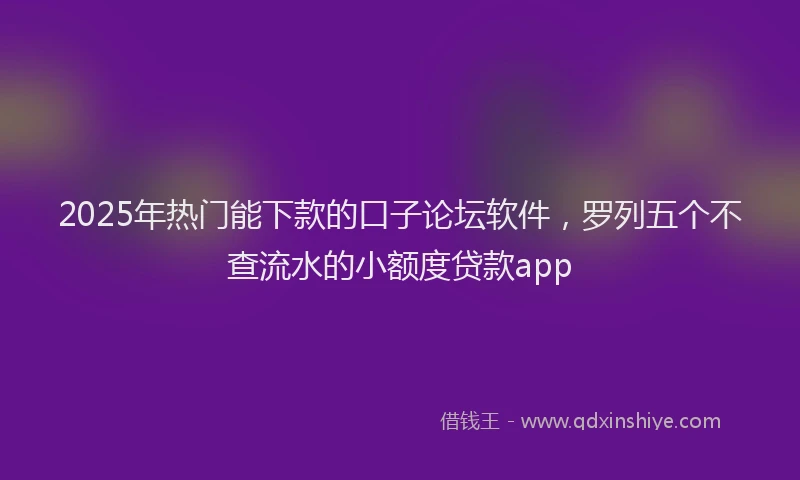 2025年热门能下款的口子论坛软件，罗列五个不查流水的小额度贷款app
