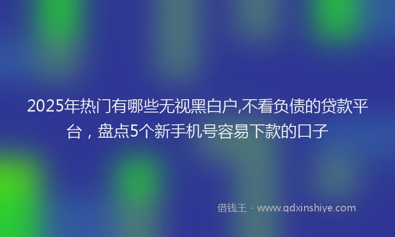2025年热门有哪些无视黑白户,不看负债的贷款平台，盘点5个新手机号容易下款的口子