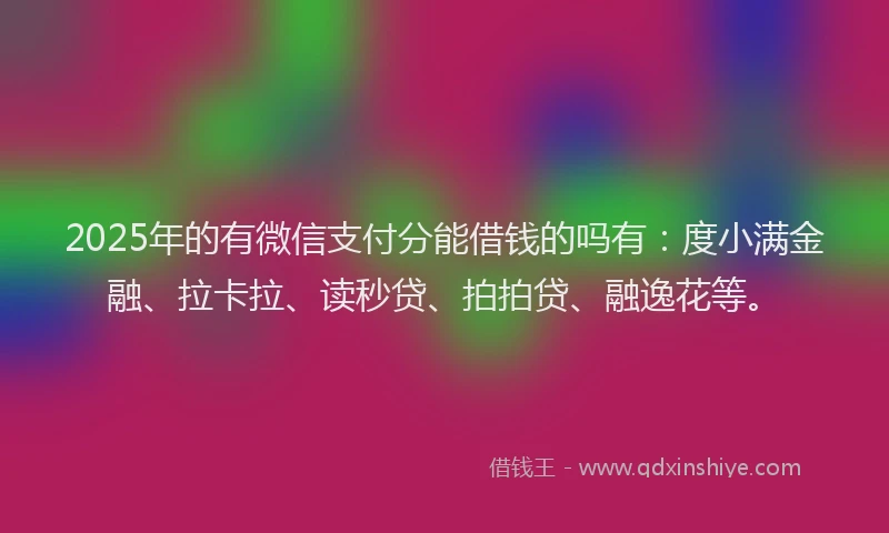 2025年的有微信支付分能借钱的吗有：度小满金融、拉卡拉、读秒贷、拍拍贷、融逸花等。