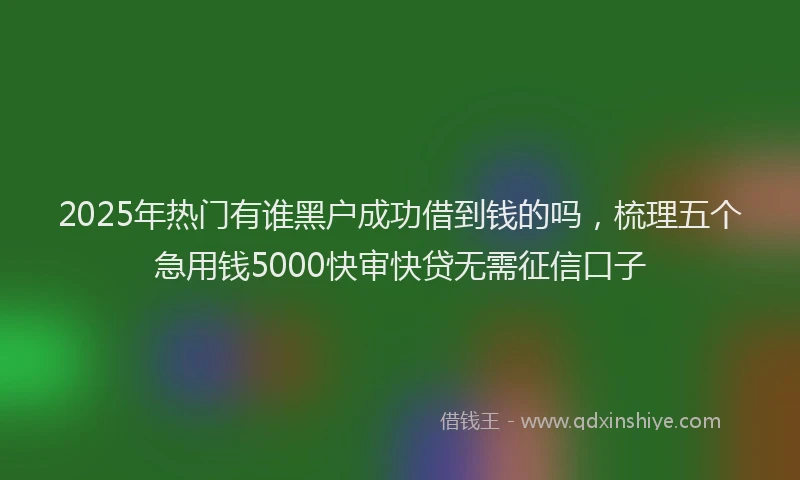 2025年热门有谁黑户成功借到钱的吗，梳理五个急用钱5000快审快贷无需征信口子