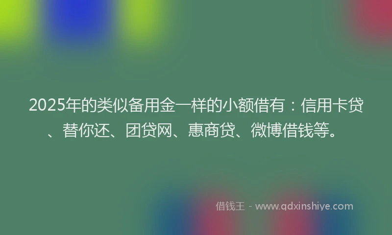 2025年的类似备用金一样的小额借有：信用卡贷、替你还、团贷网、惠商贷、微博借钱等。
