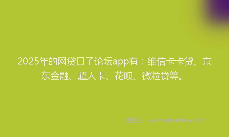 2025年的网贷口子论坛app有：维信卡卡贷、京东金融、超人卡、花呗、微粒贷等。