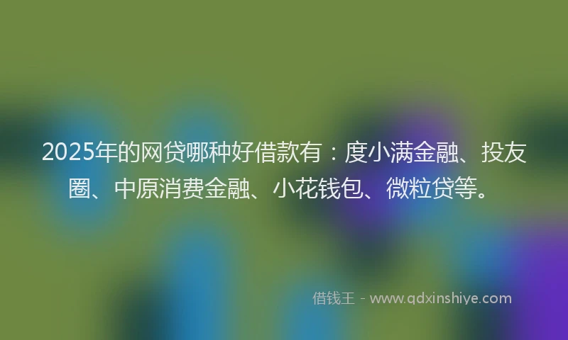 2025年的网贷哪种好借款有：度小满金融、投友圈、中原消费金融、小花钱包、微粒贷等。