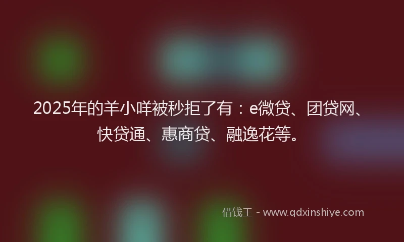 2025年的羊小咩被秒拒了有：e微贷、团贷网、快贷通、惠商贷、融逸花等。
