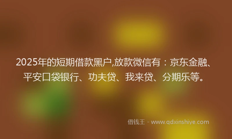 2025年的短期借款黑户,放款微信有：京东金融、平安口袋银行、功夫贷、我来贷、分期乐等。
