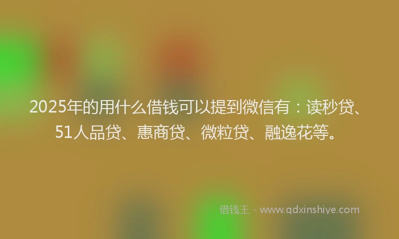 2025年的用什么借钱可以提到微信有：读秒贷、51人品贷、惠商贷、微粒贷、融逸花等。