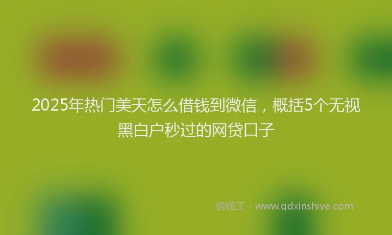 2025年热门美天怎么借钱到微信，概括5个无视黑白户秒过的网贷口子