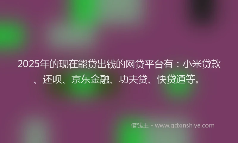 2025年的现在能贷出钱的网贷平台有：小米贷款、还呗、京东金融、功夫贷、快贷通等。