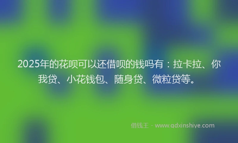 2025年的花呗可以还借呗的钱吗有：拉卡拉、你我贷、小花钱包、随身贷、微粒贷等。