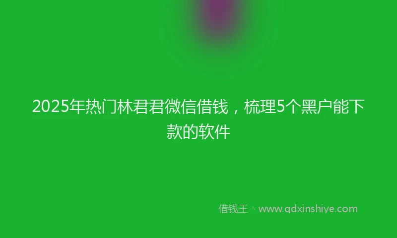 2025年热门林君君微信借钱，梳理5个黑户能下款的软件